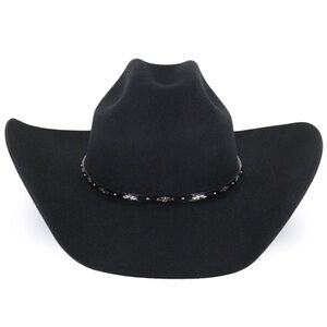 Brand New✨Never Worn. Unisex Black Cowboy Hat